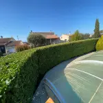 Entretien de jardin